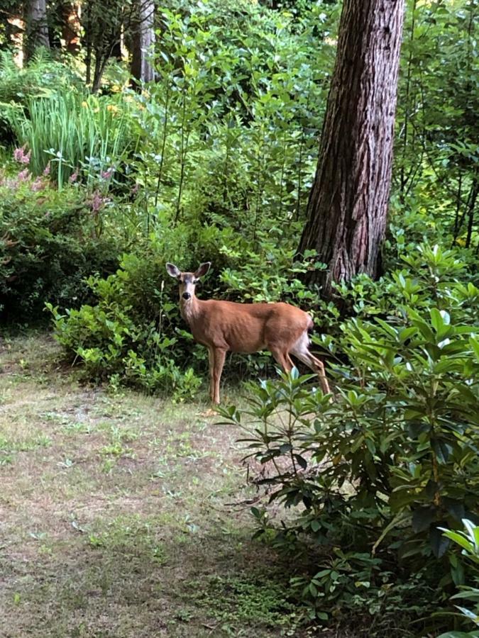 فيلا A Tiny Escape Roberts Creek المظهر الخارجي الصورة